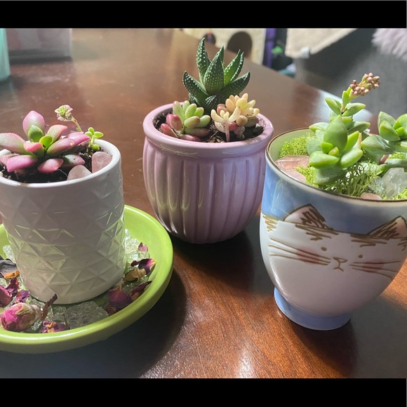 Meet your Posher - Picture 3 of 11